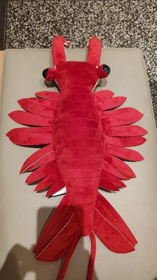 Customer photo review of Anomalocaris Plush – Soft, Realistic Cambrian Predator Toy for Prehistoric Fans