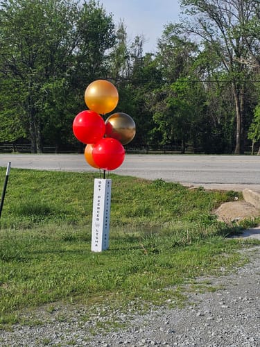 Customer photo review of DuraBalloon® 5-Balloon Cluster Pole Kit - with 4-Sided Pole Cover