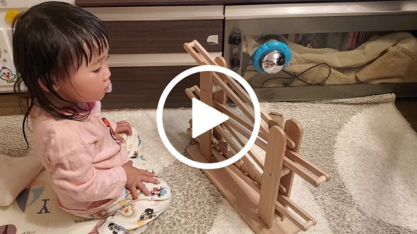 Customer video review of ころころ動物