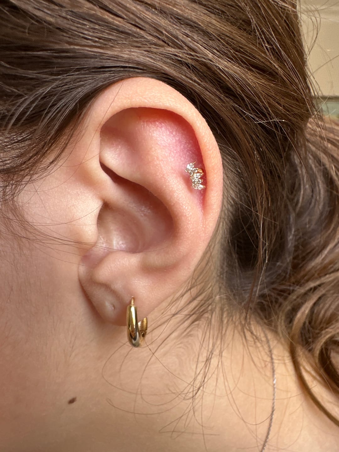Customer photo review of Gusto 3 Markiz Taşlı Altın Tragus Piercing