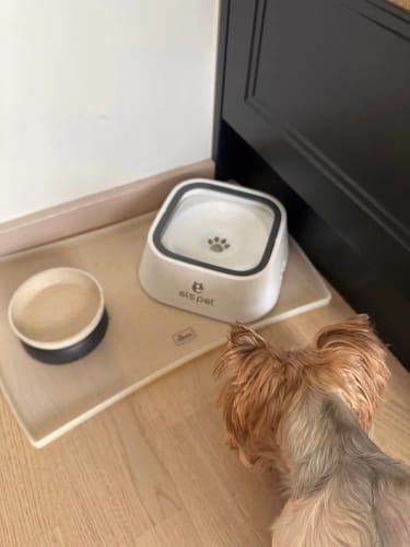 Customer photo review of SplashFree Napf 