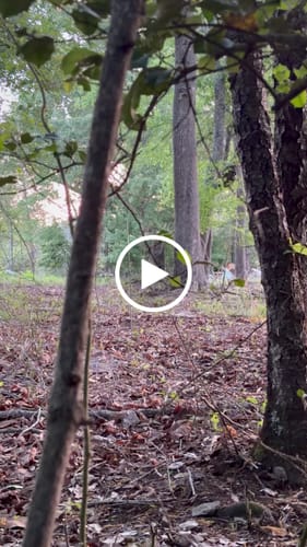 Customer video review of Slate Over Glass Pot Call
