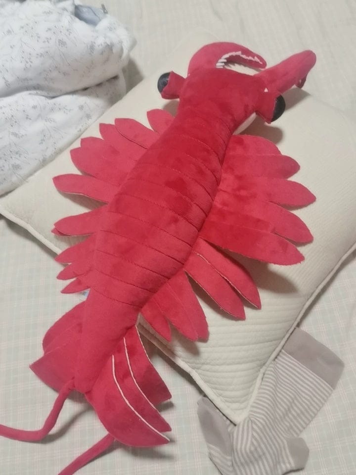 Customer photo review of Anomalocaris Plush – Soft, Realistic Cambrian Predator Toy for Prehistoric Fans