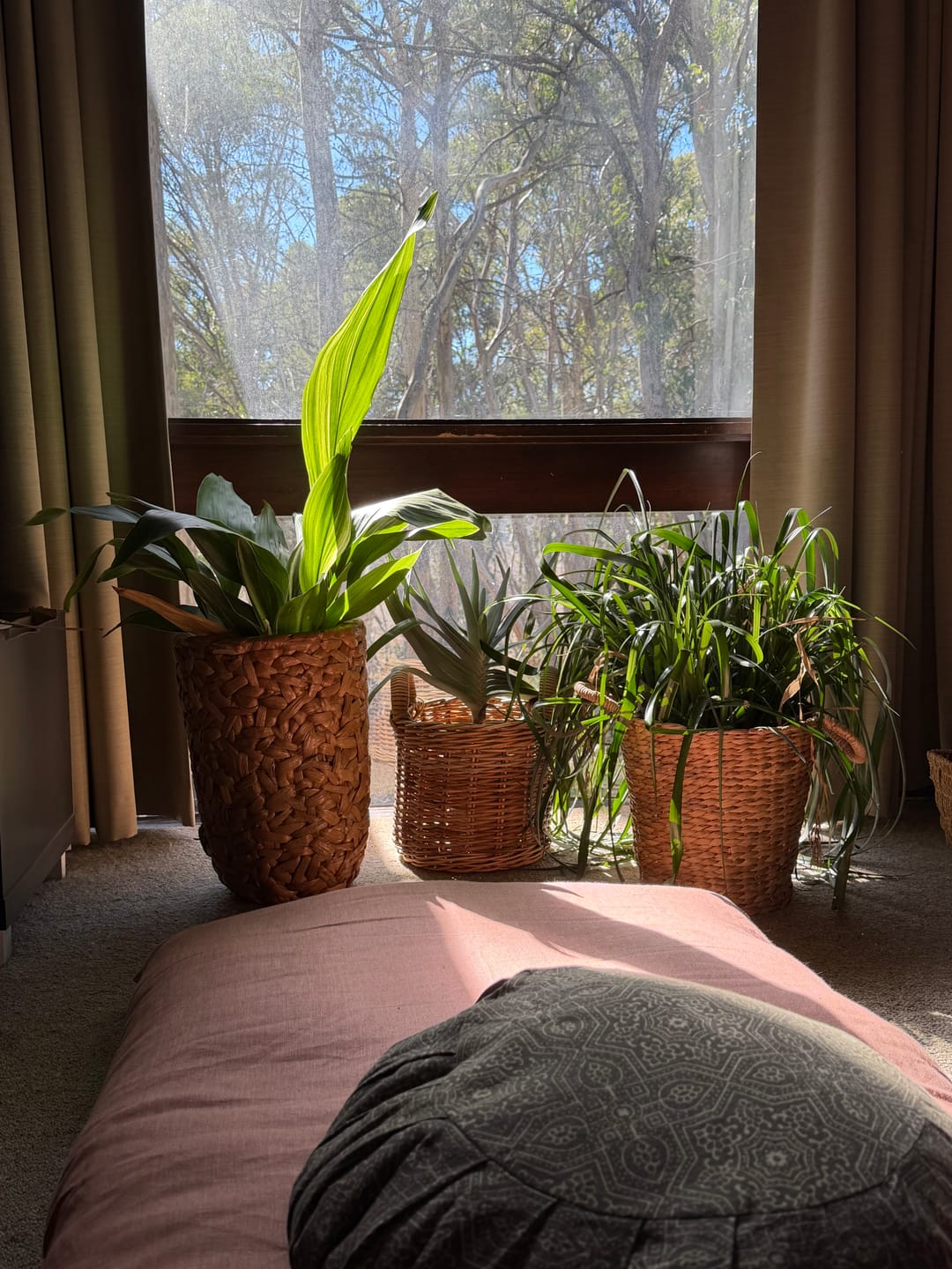 Customer photo review of Wind Star - Round Meditation Cushion Zafu
