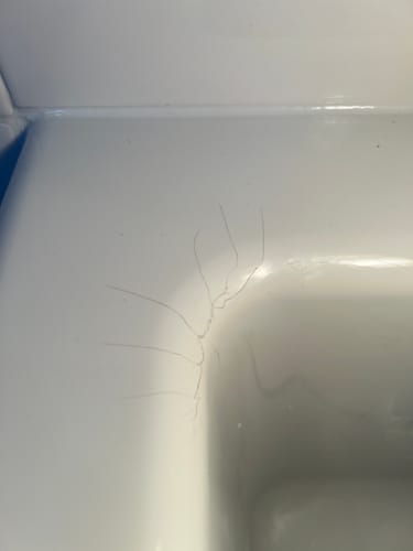 Customer photo review of Ultimate Chip Repair - Fiberglass, Acrylic, Porcelain Repair Kit