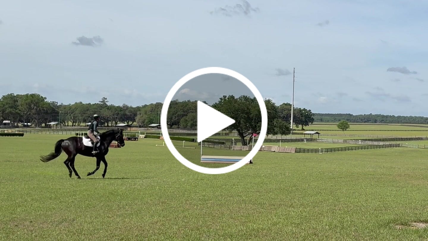 Customer video review of Digestive HP