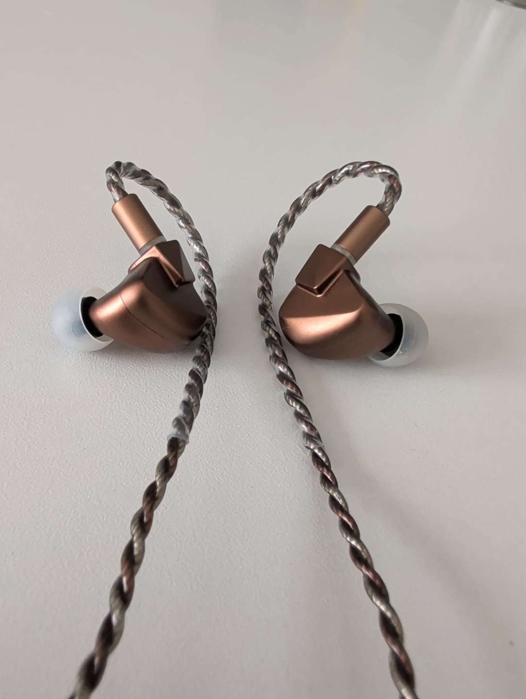 Customer photo review of LETSHUOER S12 Ultra IEM Kulaklık