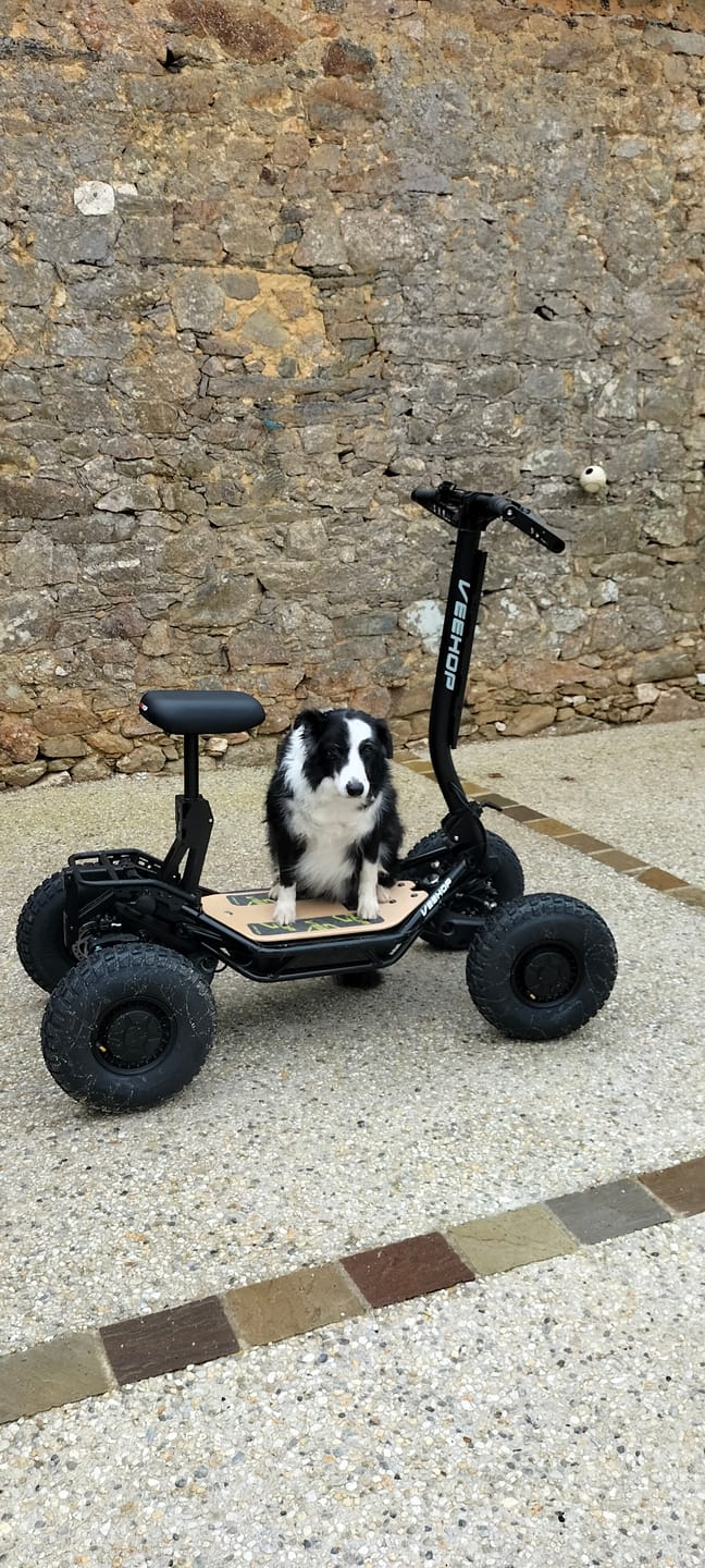 Customer photo review of Trottinette VEEHOP tout terrain à 4 roues motrices avec selle pliable 3200w / 6400w 40ah