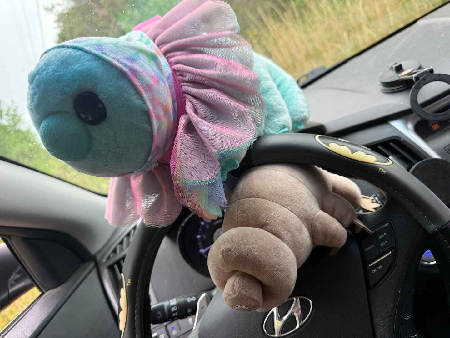 Customer photo review of Tardigrade Water Bear Soft Stuffed Plush Toy