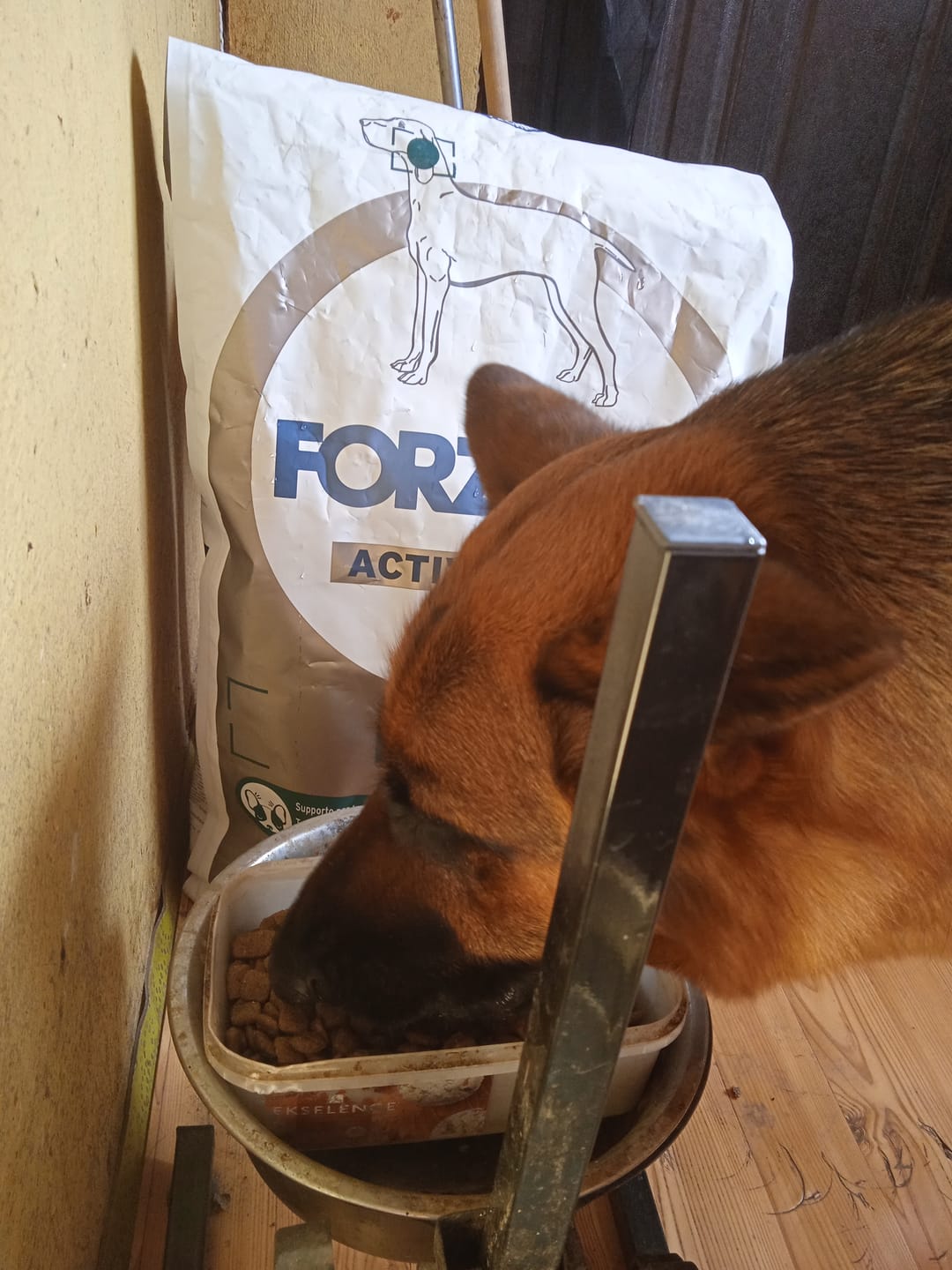Customer photo review of Active VetDiet Echo suņiem