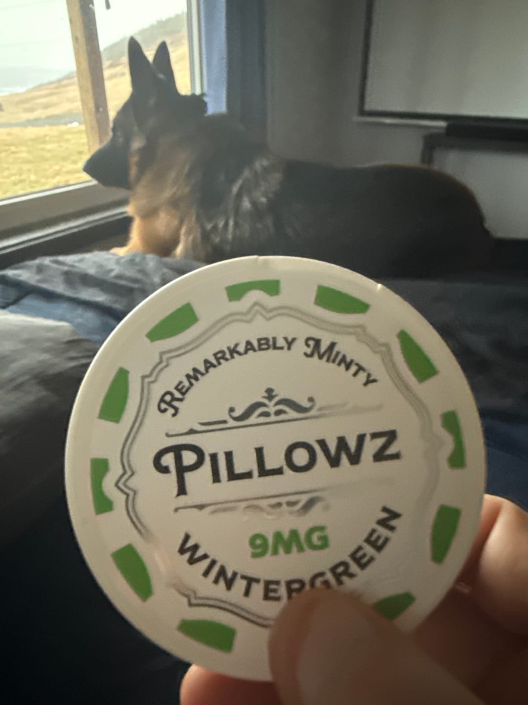Customer photo review of Wintergreen