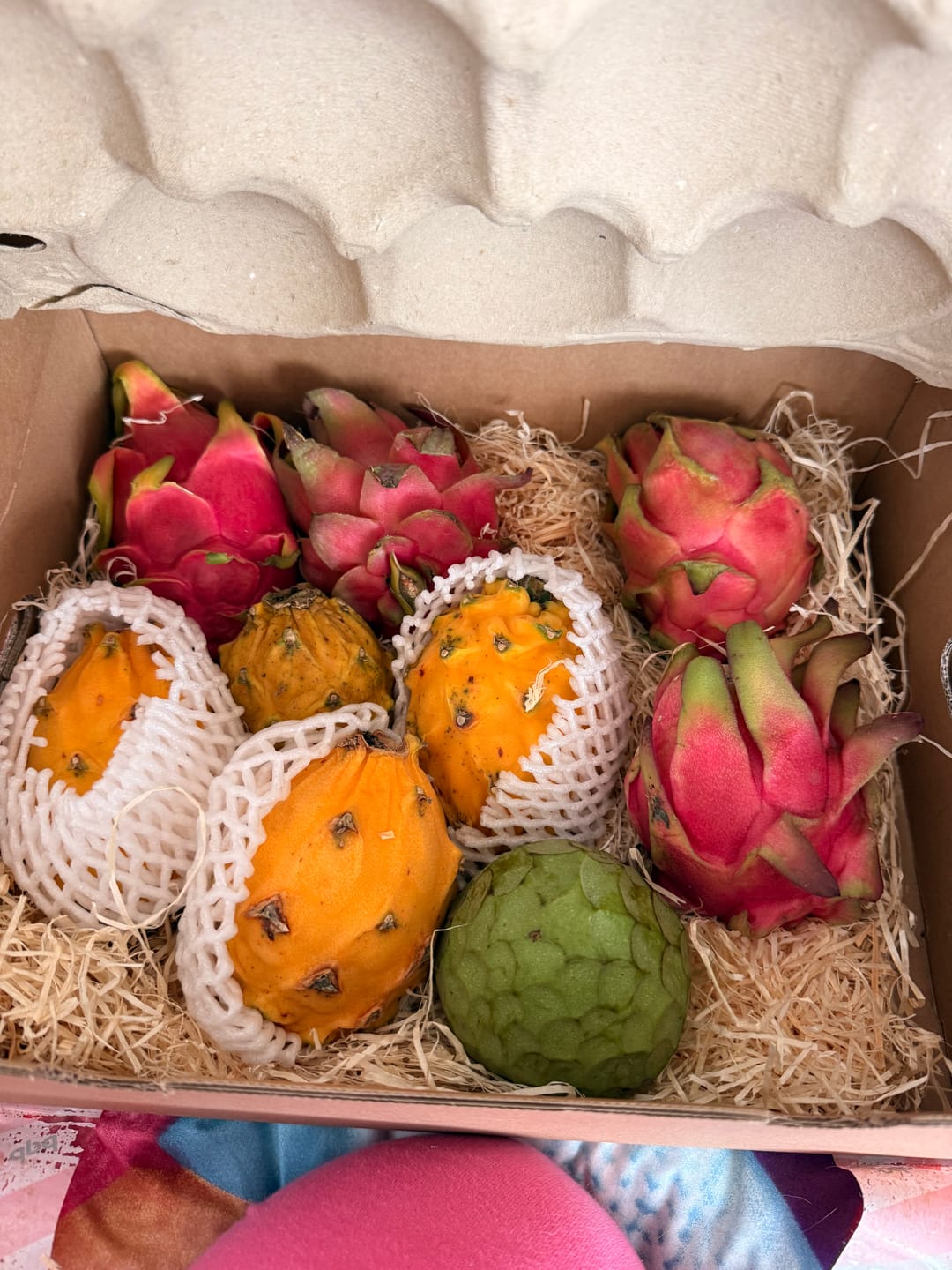 Customer photo review of Drachenfrüchte Trio Box Sonderaktion %
