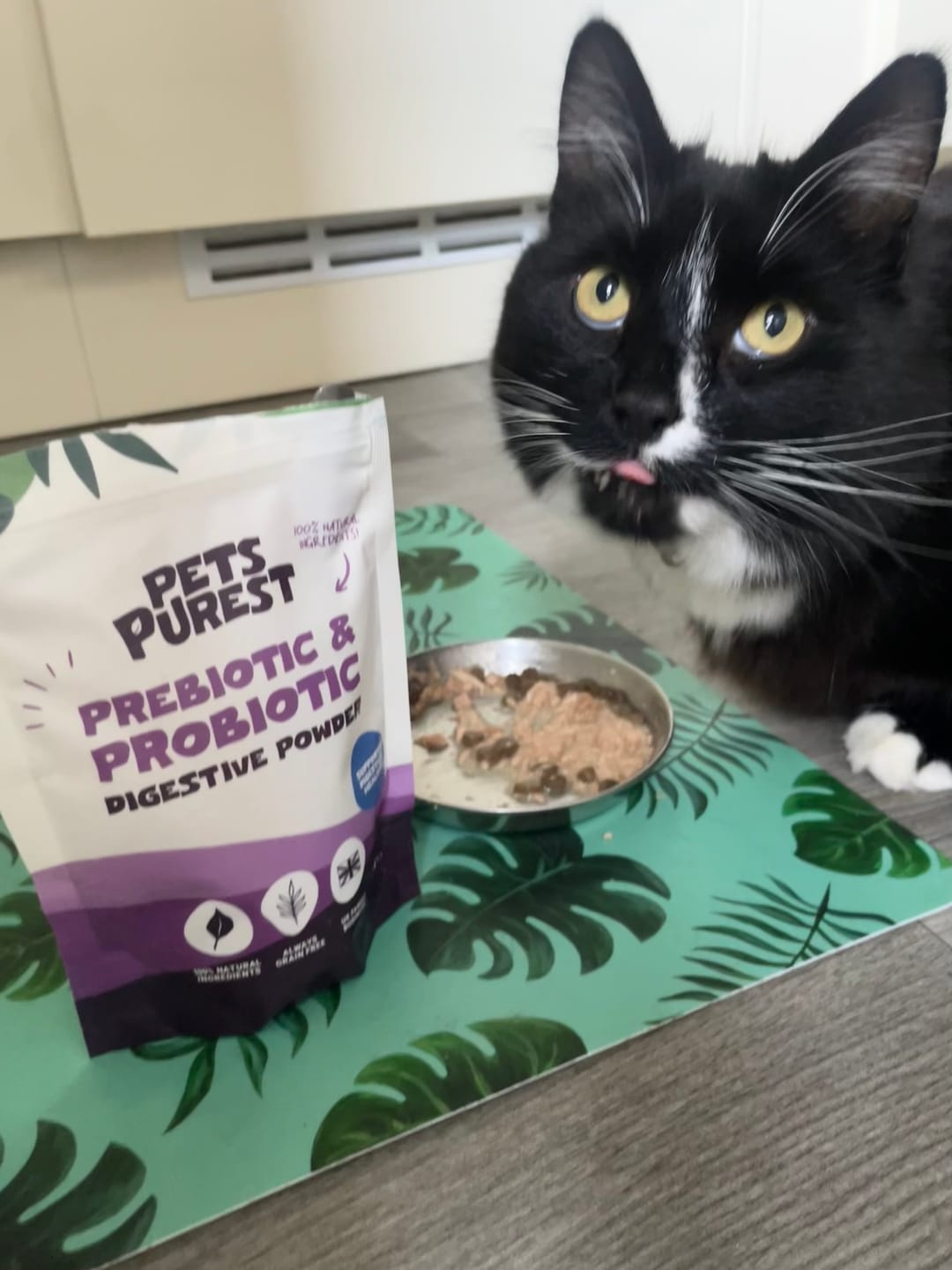 Customer photo review of Natural Pre & Probiotic Powder | 3 Pack Bundle