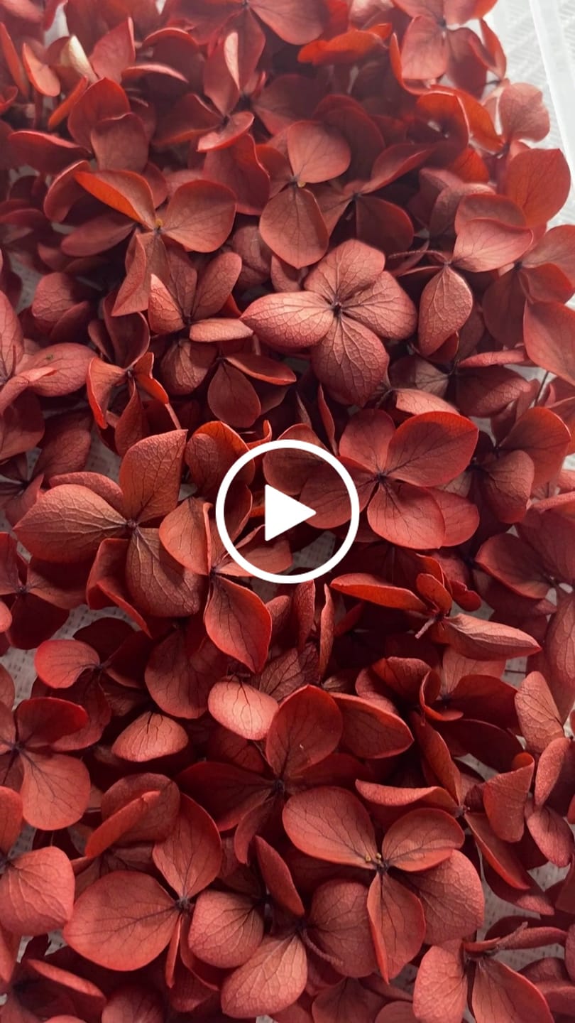 Customer video review of Fragancia SALTED CARAMEL