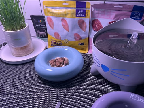 Customer photo review of Michu Bagel Ceramic Cat Bowl – Anti-Whisker Wide Shallow Cat Food Bowl | 6 Colours