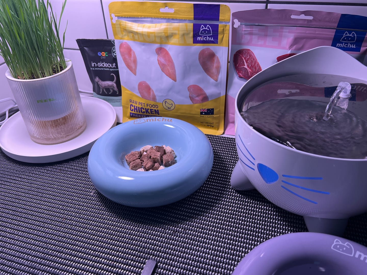Customer photo review of Michu Bagel Ceramic Cat Bowl – Anti-Whisker Wide Shallow Cat Food Bowl | 6 Colours