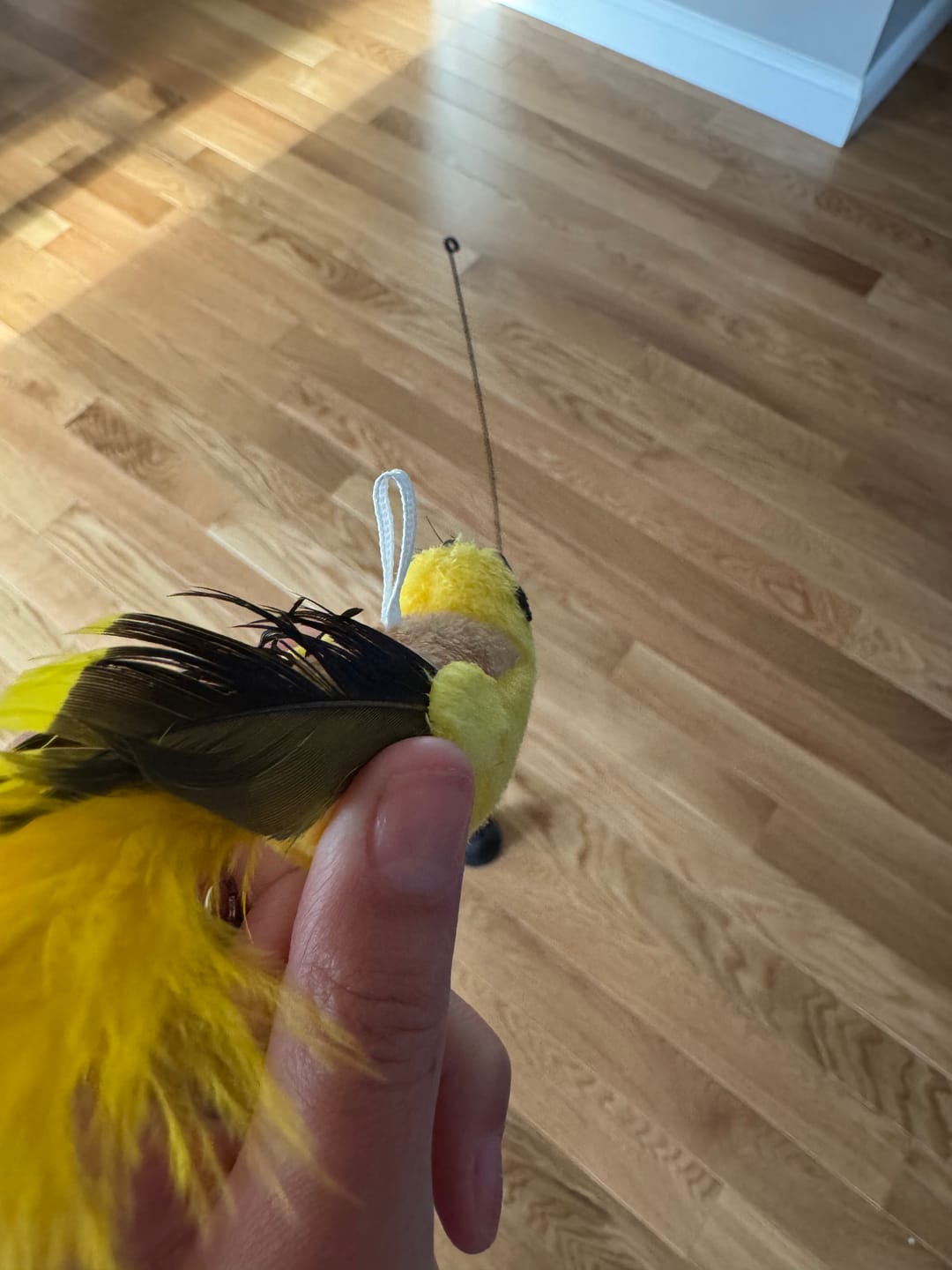 Customer photo review of Interactive Bird Simulation Cat Toy Set | Leo's Paw