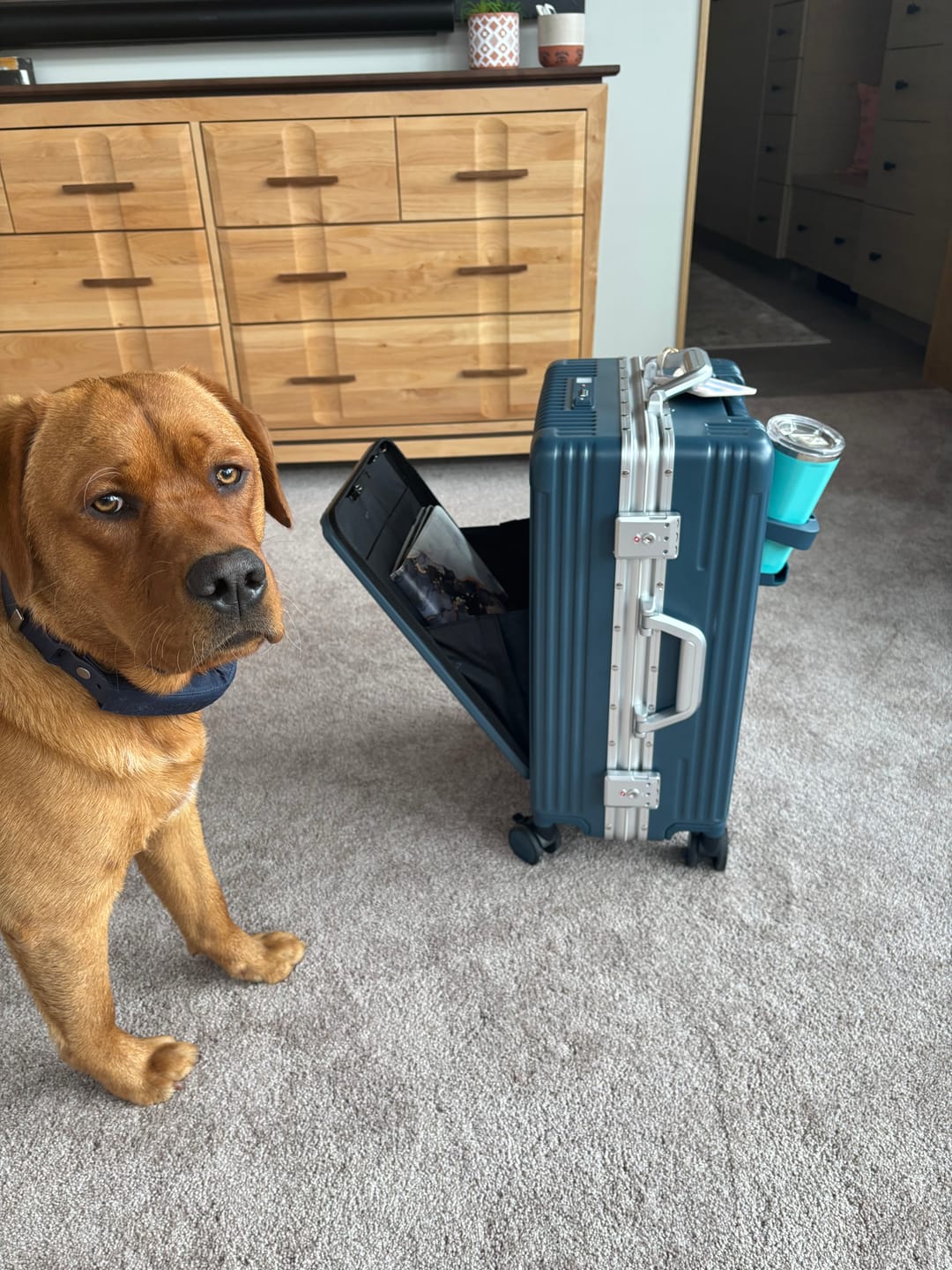 Customer photo review of Add Package Protection