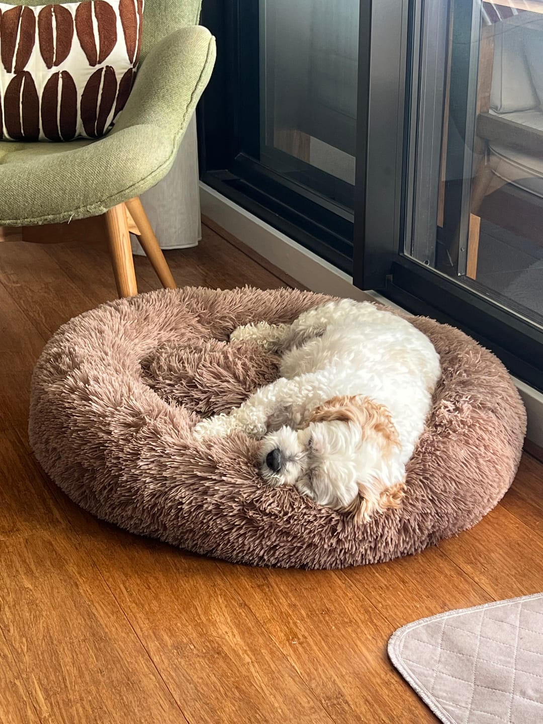Customer photo review of Calming Pet Bed Machine Washable