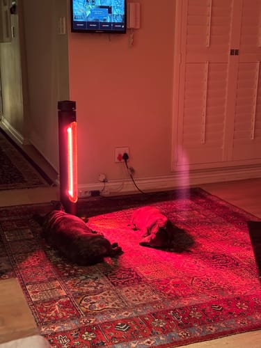 Customer photo review of Indoor & Outdoor Infrared Heater
