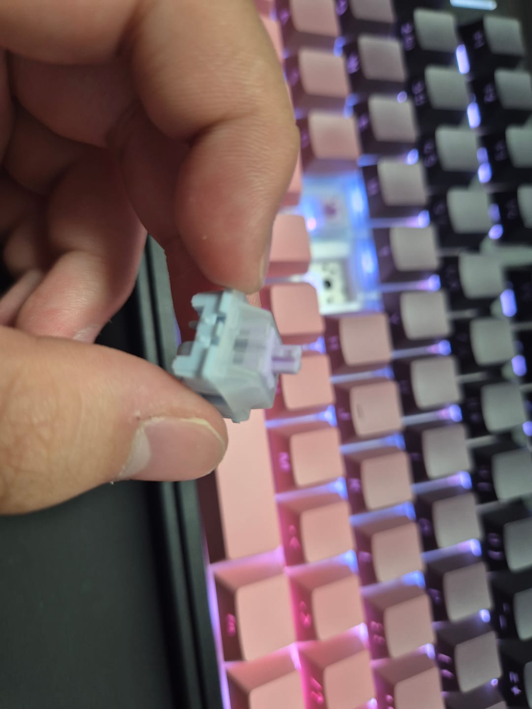 Customer photo review of HMX MOKSAE SILENT TACTILE SWITCH FACTORY LUBED (10PCS)