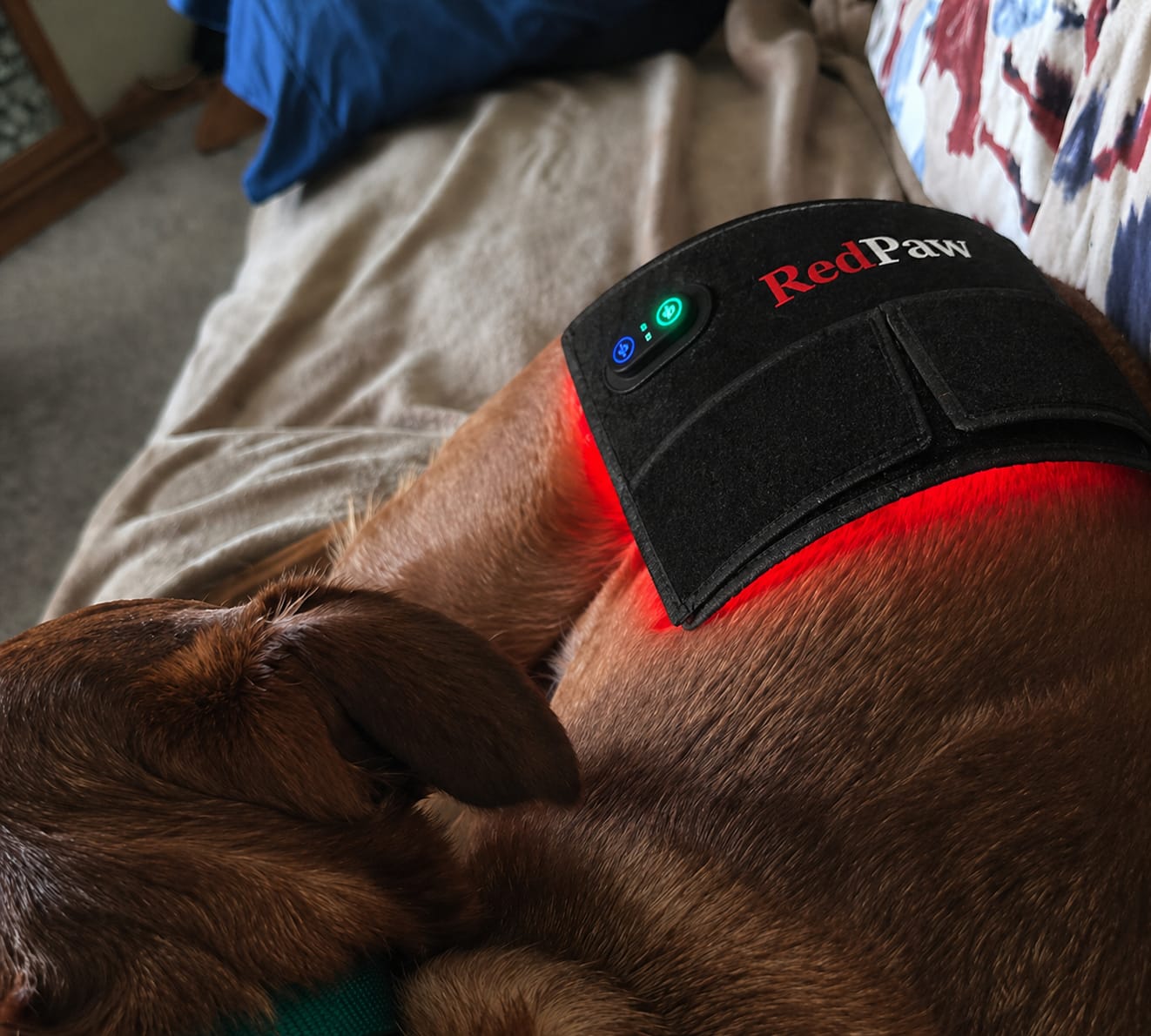 Customer photo review of RedPaw Red Light Therapy