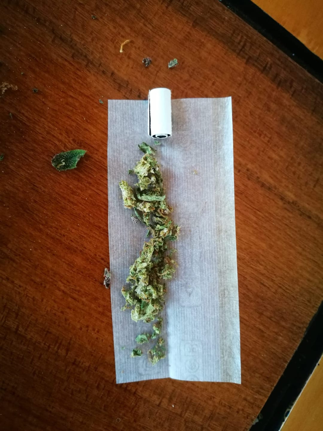 Customer photo review of Amnesia Haze Extra Strong 60% - CBD Blüten - Indoor - Unsere stärkste CBD Sorte