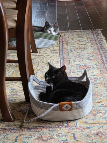 Customer photo review of Instinct Basket | Meet the first research-backed natural territory for indoor cats