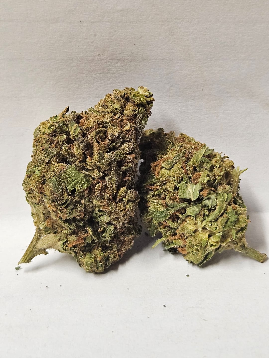 Customer photo review of Biscotti Cake - 28 Grams - Hybrid