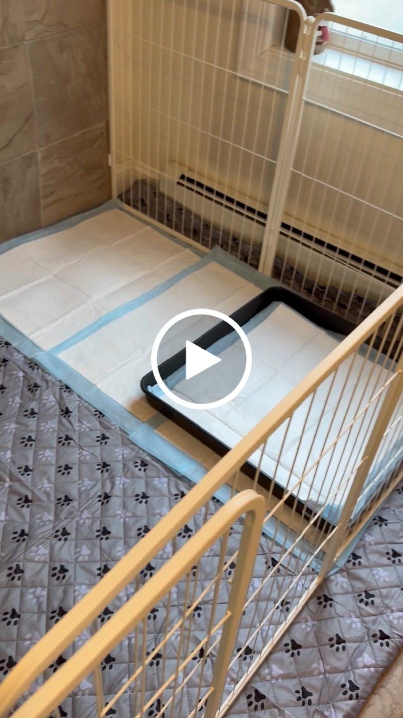 Customer video review of Homeplus Dog Playpen for Indoor Use
