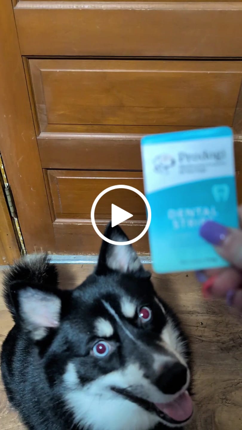 Customer video review of DENTAL STRIPS