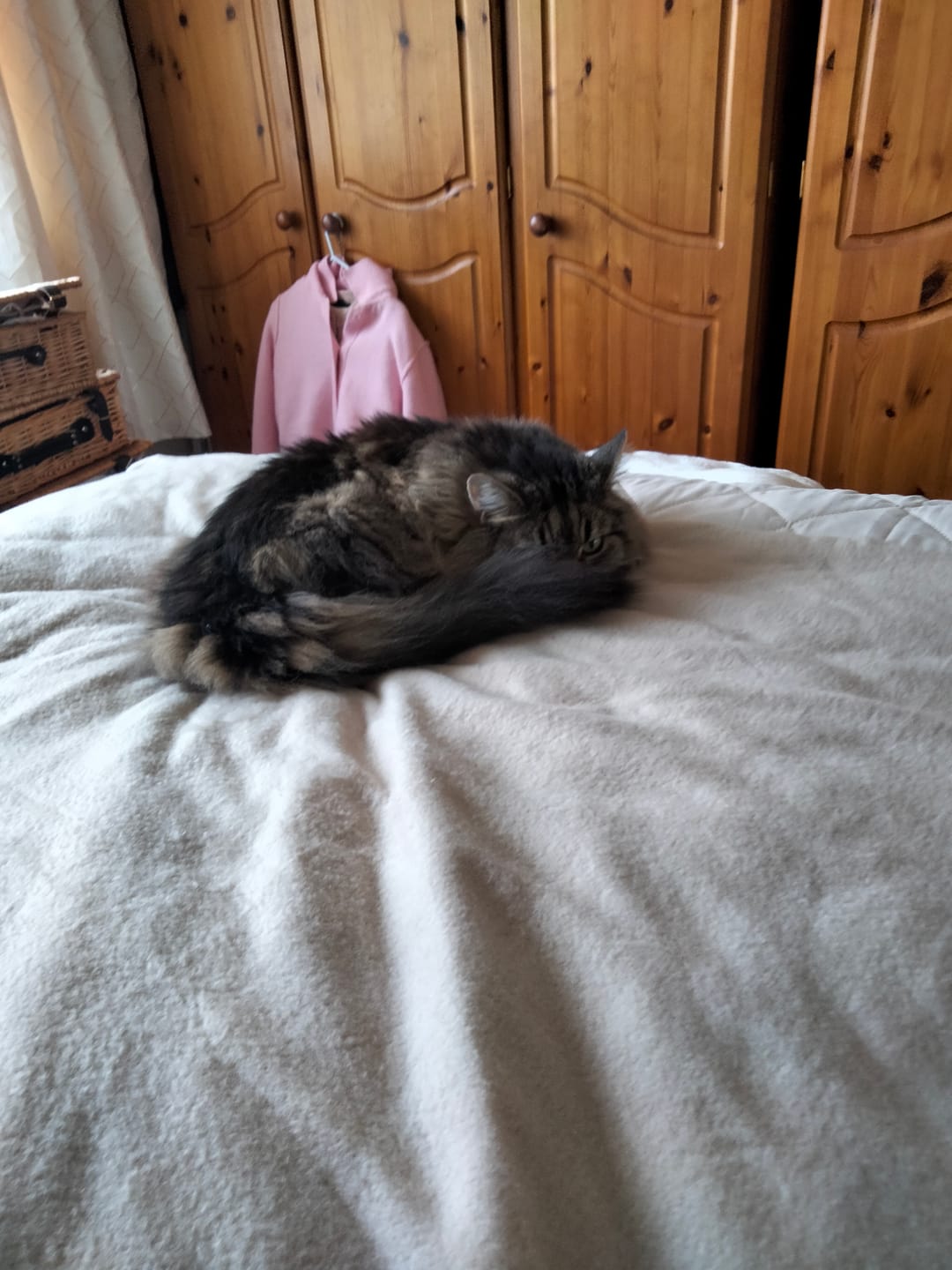 Customer photo review of CloudTopper™ Luxury Thick Mattress Topper
