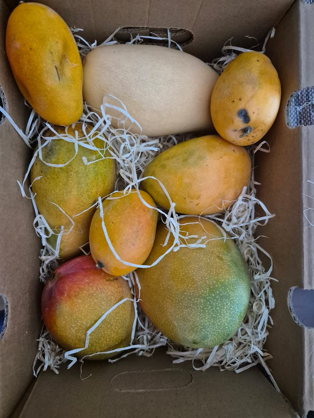 Customer photo review of Mango Entdeckerbox