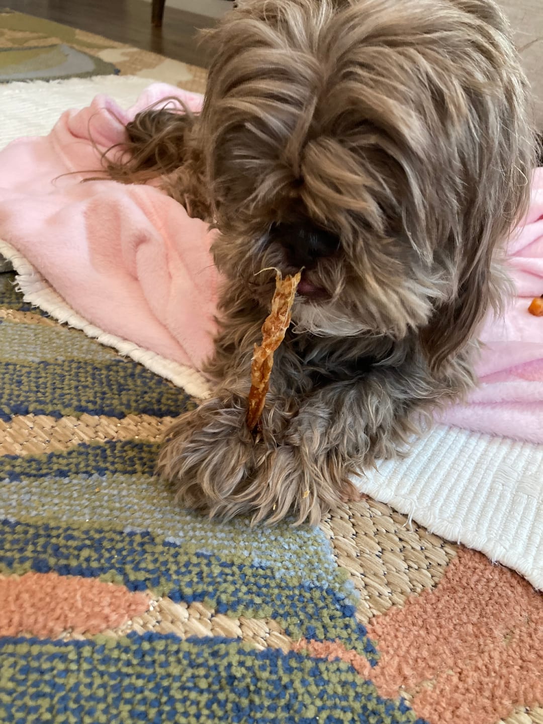 Customer photo review of USA Turkey Tendons Delicious Grain-Free Reward Snack