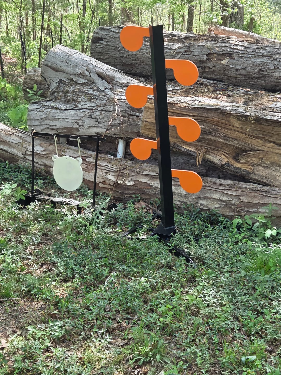 Customer photo review of 6" x 3/8" AR500 Steel Target Dueling Tree Stand