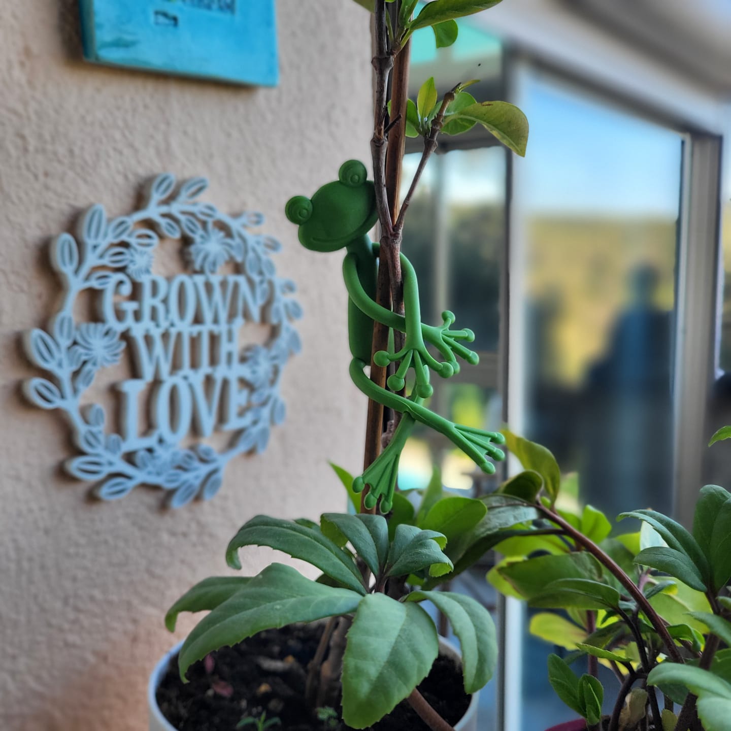 Customer photo review of Mamie Frog®