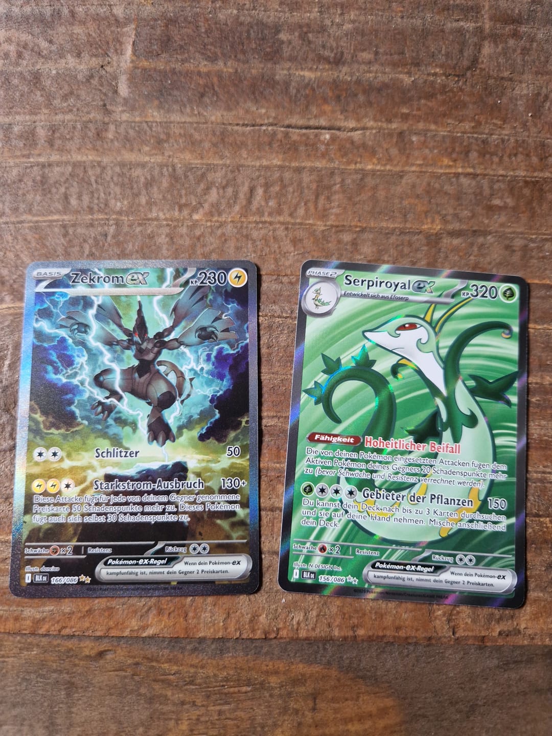 Customer photo review of Pokémon Boosterpack Karmesin & Purpur – Schwarze Blitze
