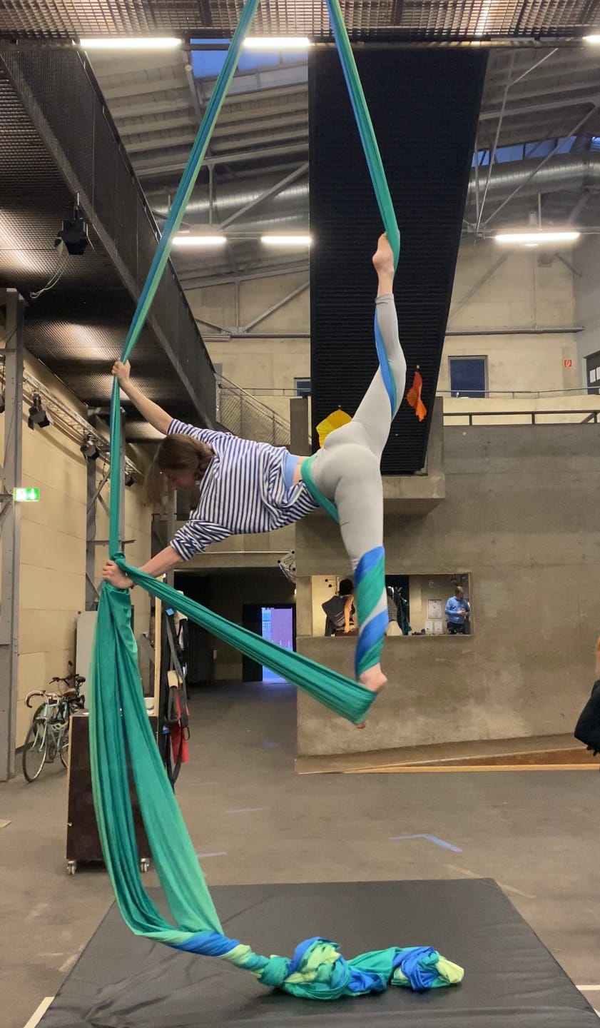 Customer photo review of Aerial Silk Gradient Silk - spring