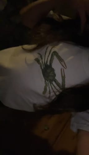 Close-up of a reviewer wearing the crabby baby tee in a dark room, showing the crab graphic.