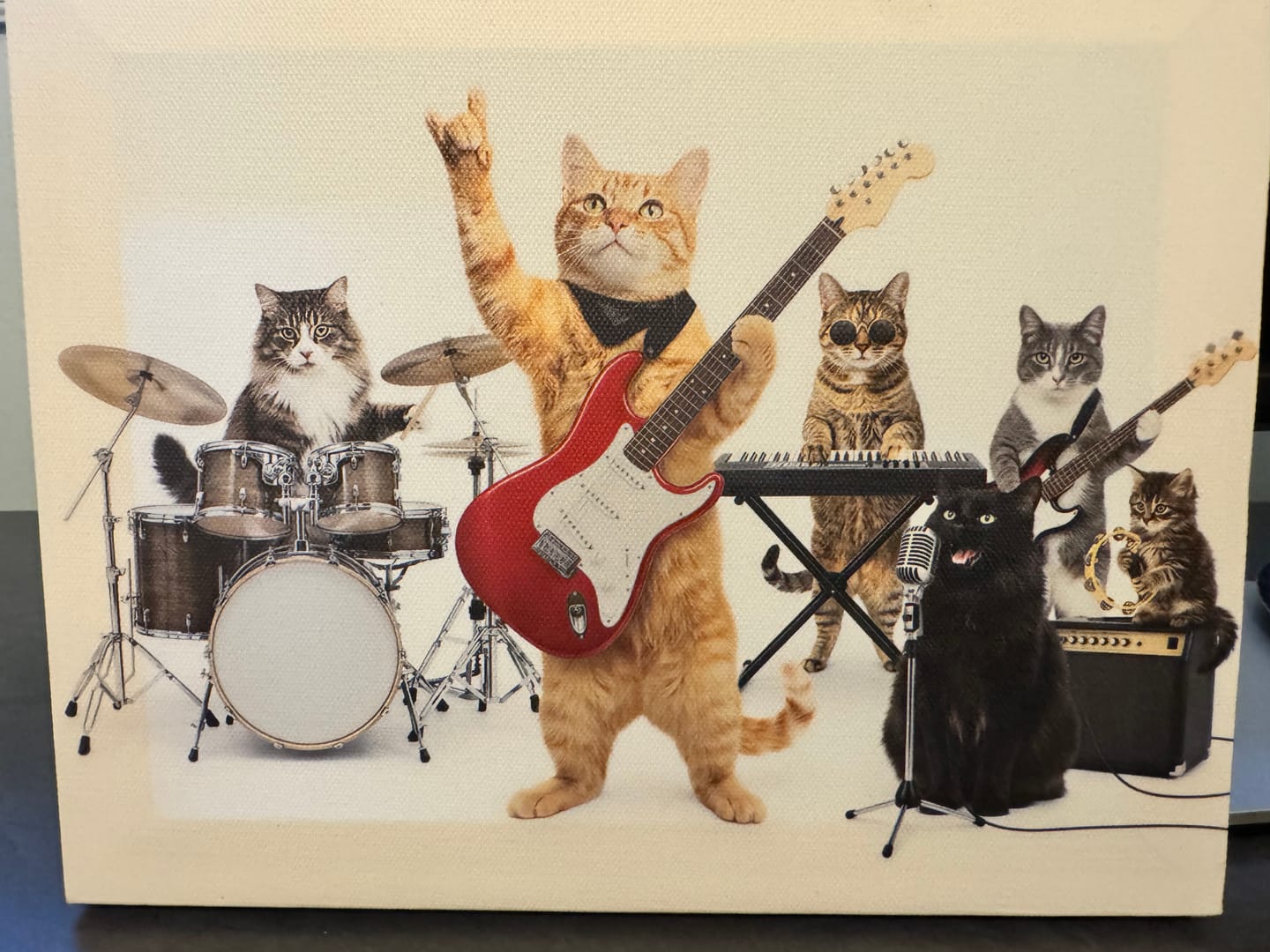 Customer photo review of Artzuzu Custom Portrait For Multi Pets - The Band