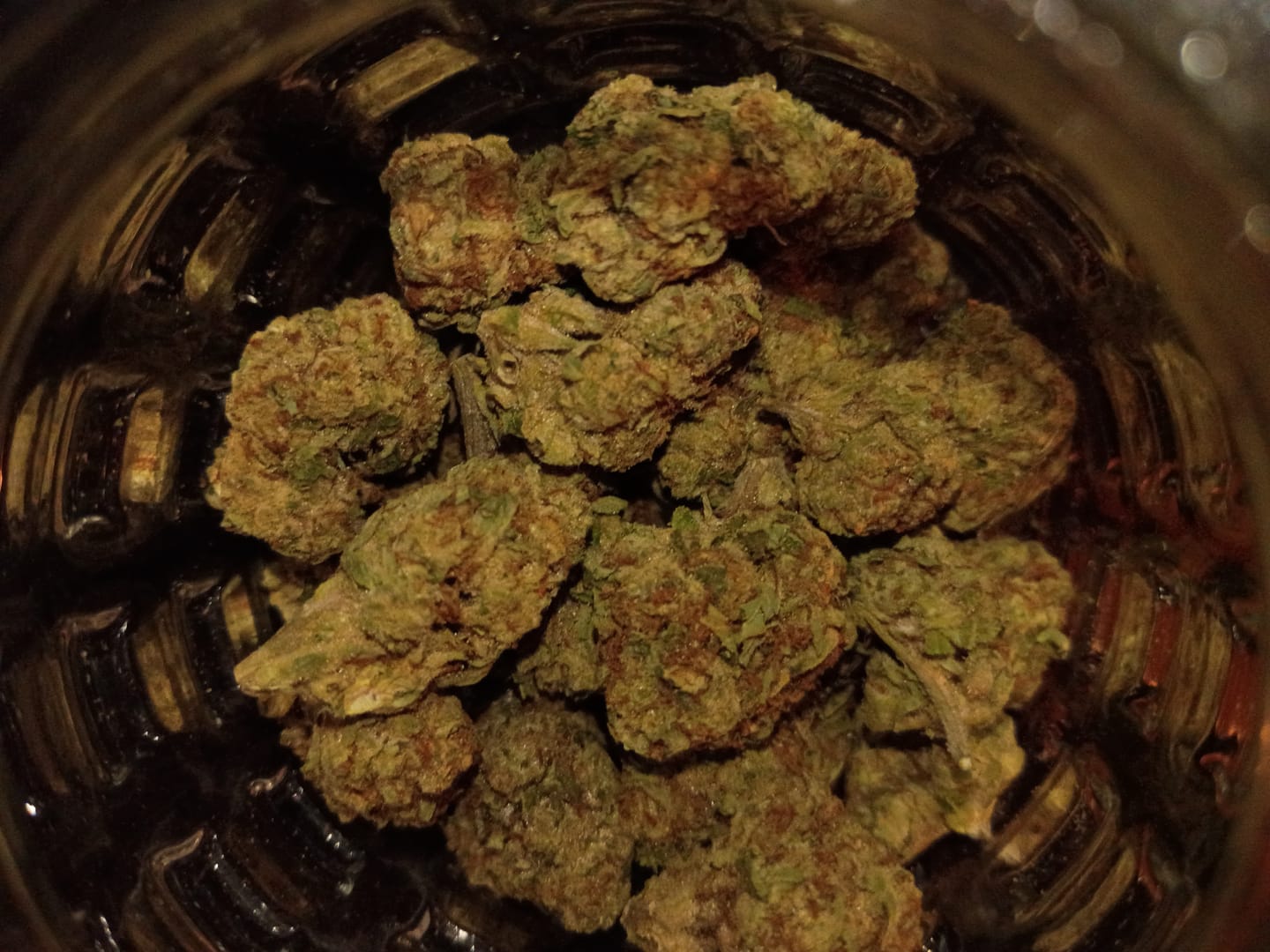 Customer photo review of Jet Fuel Gummies Light Assist THCA