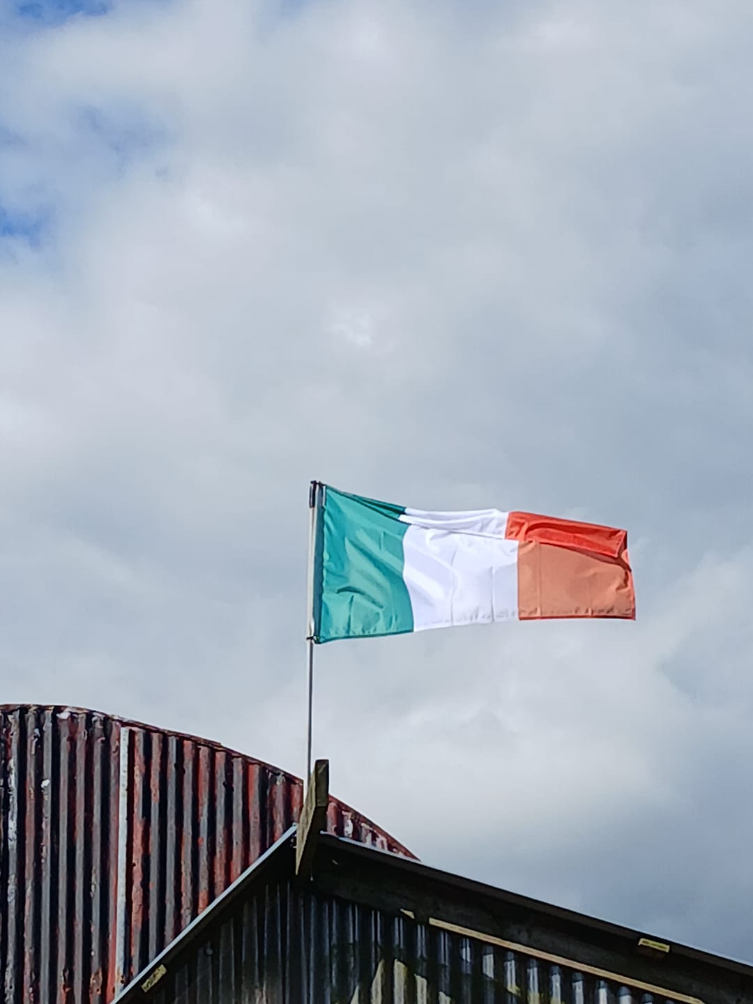Customer photo review of Ireland National Flag