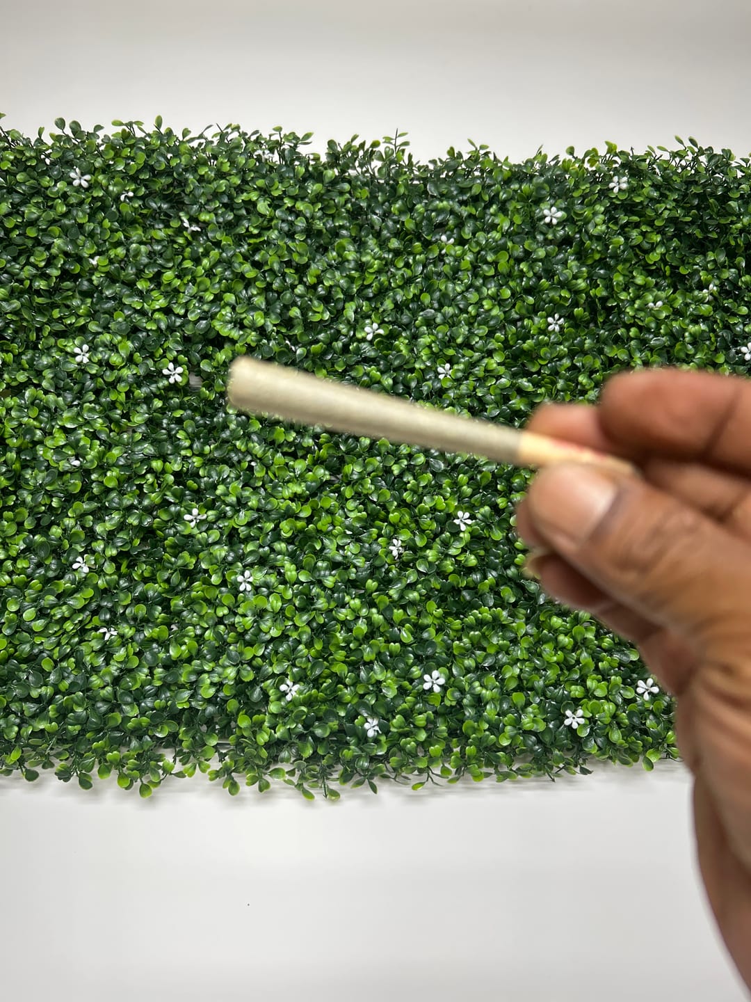 Customer photo review of Boutique Exotics - Jelly Roll - 2.5G Pre-Roll