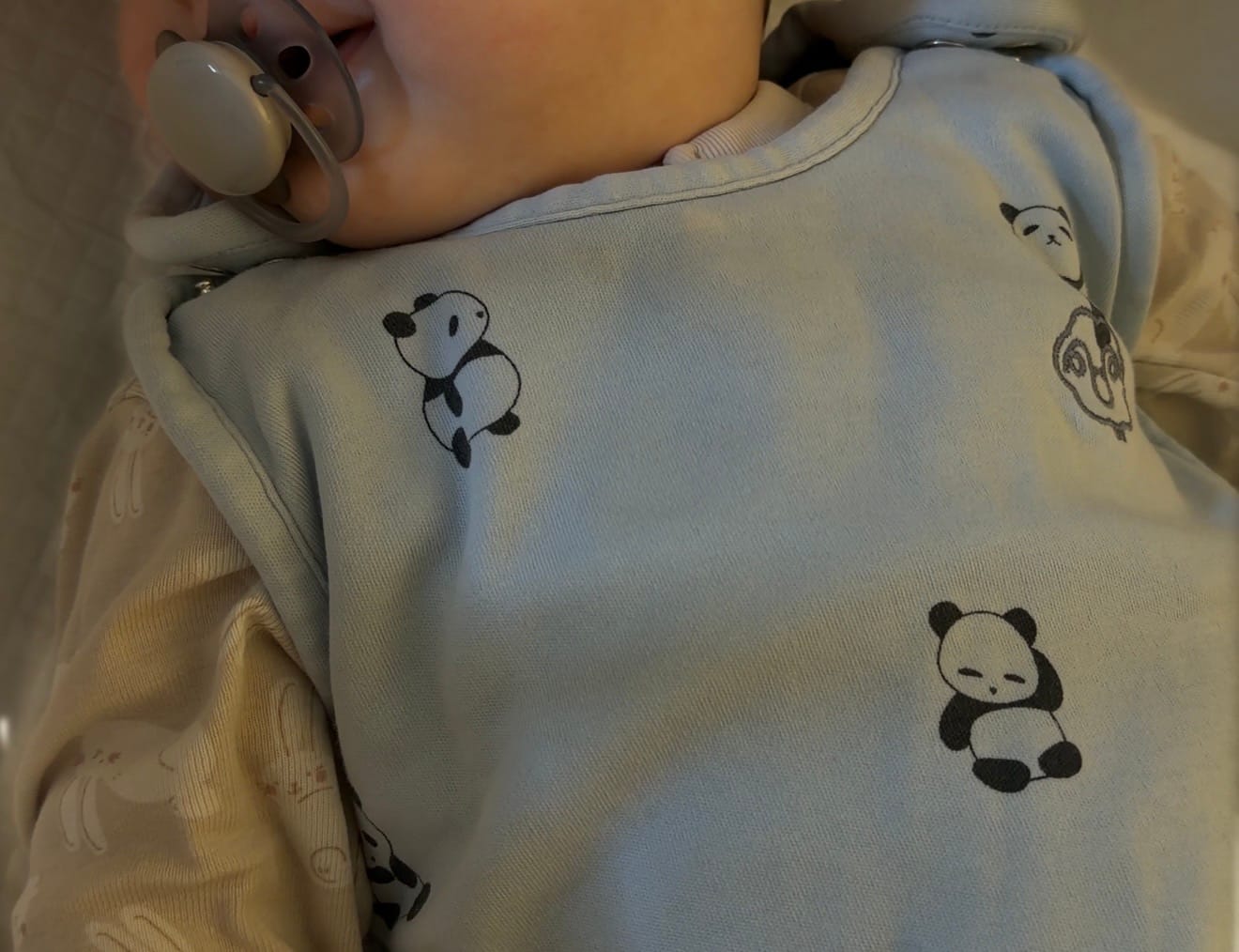Customer photo review of 4 Season® Ultimate Baby Sleep Bag, Merino Wool & Organic Cotton, Panda