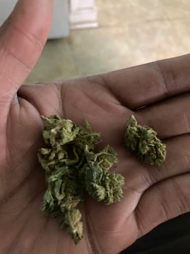 Customer photo review of Bubba OG - Micros - 28 Grams - Indica