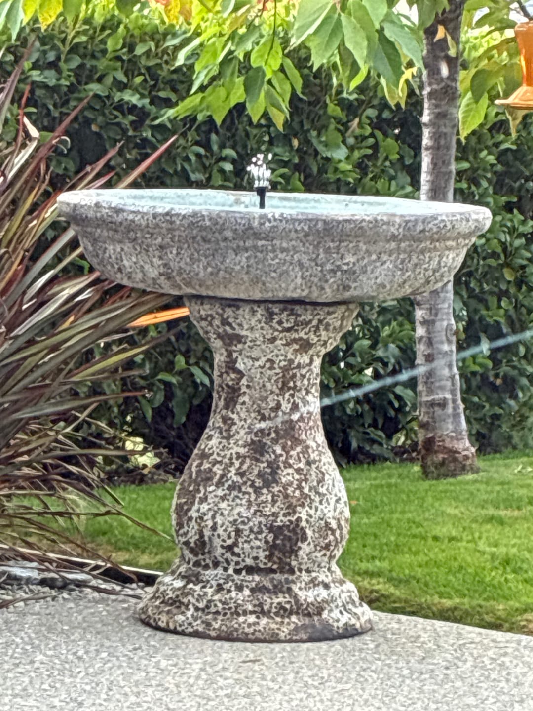 Customer photo review of AhiSpring™ | Solar Garden Fountain