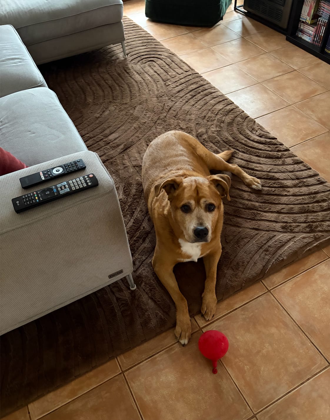 Customer photo review of Designer Relax Mat - 35mm Thick Foam Base