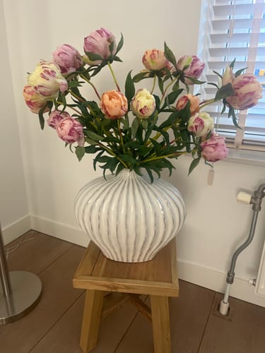 Customer photo review of Vaas Lorito Keramiek Wit Creme 35x21x30cm