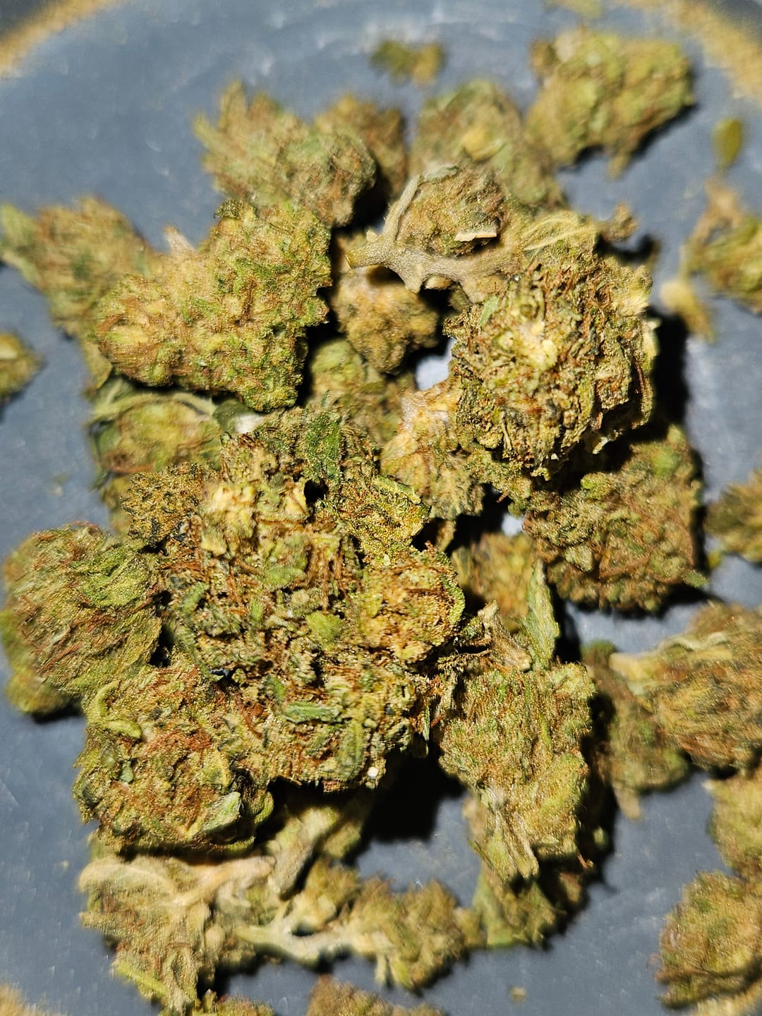 Customer photo review of Indoor Smalls