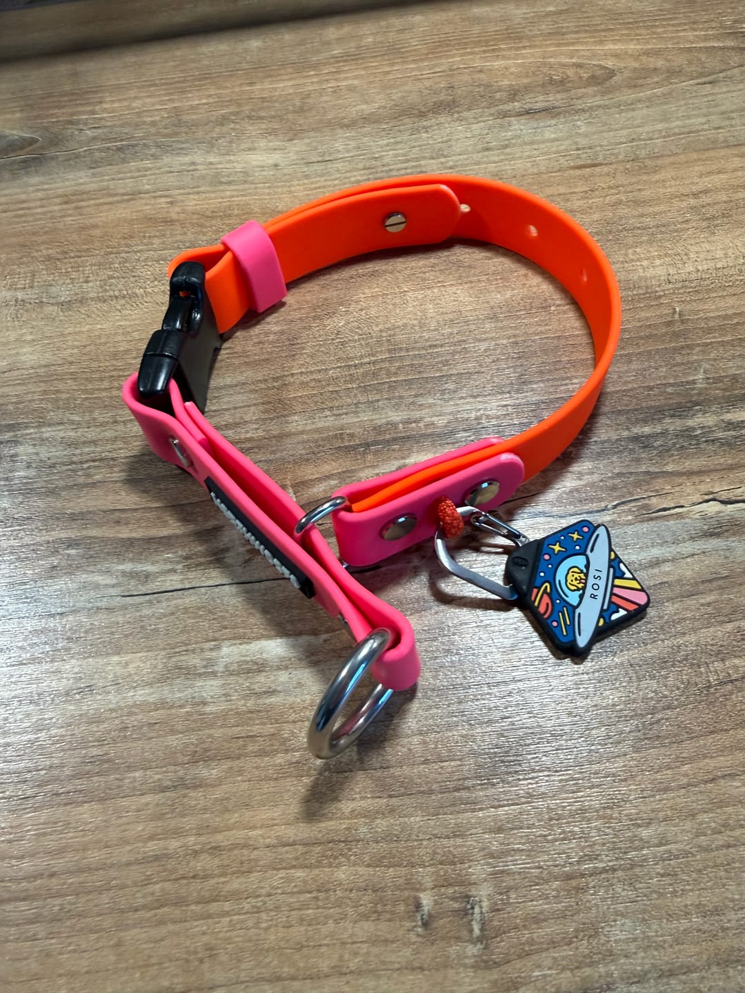 Customer photo review of Astrodash - Silent Dog ID Tag
